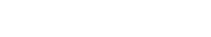 RaceData